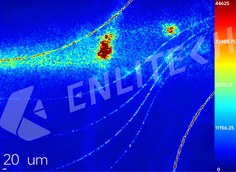 硅光子 CPO 且Night Jar&trade; 测量流程如同操作OM 或X-ray一样直觉，与目前业界光学设备相比，Night Jar&trade; 拥有更清晰的漏光影像、可视化光损分布、每个光子组件的定量光损值（Quantitative IL Value），亦可做到局部光损定位。